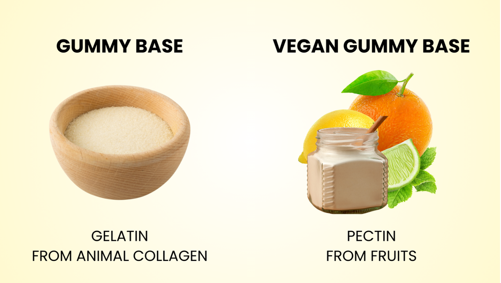 Gummy Base Differences